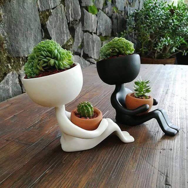 Hermosas ideas para decorar con plantas | Tikinti