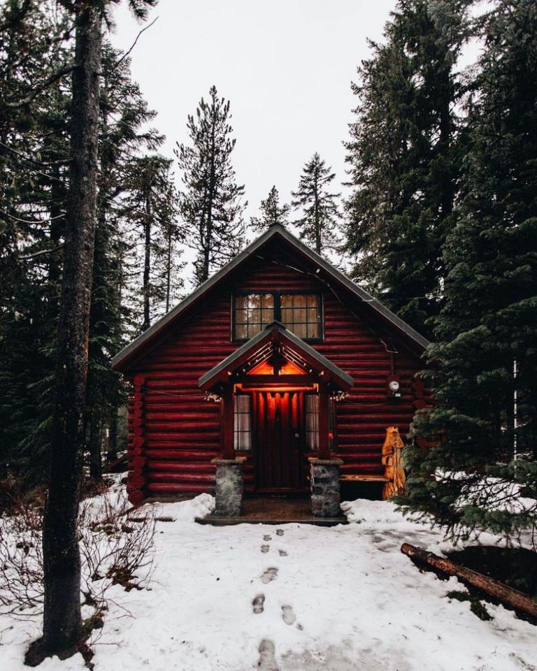 15 cabañas en el bosque que te pueden gustar TIKINTI