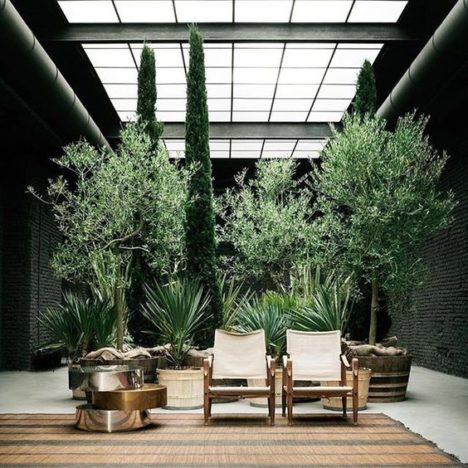 15 ideas para decorar el patio o jardín con macetas y plantas