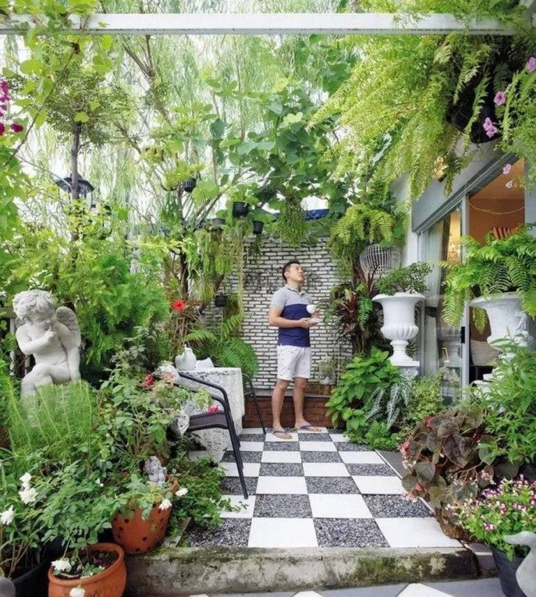 10 ideas para decorar con plantas el patio o el balcón. -