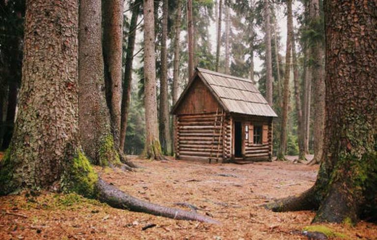 20 ideas para hacer cabañas de madera en medio del bosque - TIKINTI